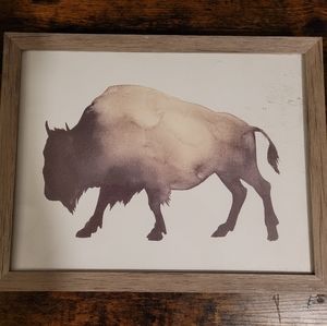 Framed In Glass Wall Art (Buffalo)